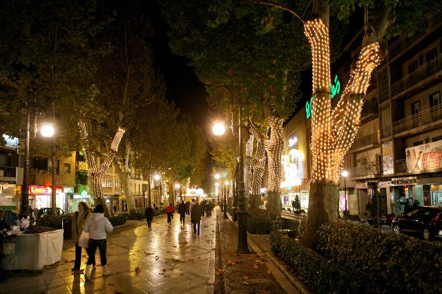 Carrera de la Virgen
